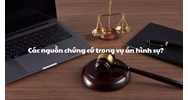 Các nguồn chứng cứ trong vụ án hình sự