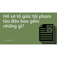 Hồ sơ tố giác tội phạm lừa đảo bao gồm những gì?