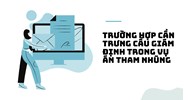 Trường hợp cần trưng cầu giám định trong vụ án tham nhũng
