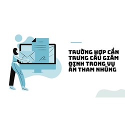Trường hợp cần trưng cầu giám định trong vụ án tham nhũng