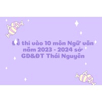 Đề thi vào 10 môn Ngữ văn của tỉnh Thái Nguyên mới nhất