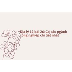 Địa lý lớp 12 bài 26: Cơ cấu ngành công nghiệp chi tiết nhất