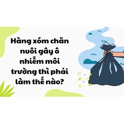 Hàng xóm chăn nuôi gây ô nhiễm môi trường thì phải làm thế nào?