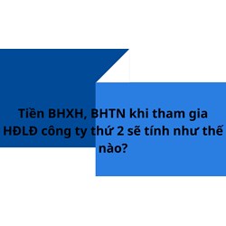 Công ty làm việc thứ 2 sẽ trả tiền tham gia bhxh, bhtn trực tiếp vào lương đúng không