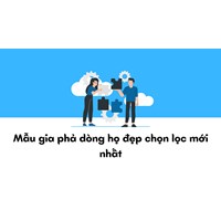 Mẫu gia phả dòng họ đẹp chọn lọc mới nhất