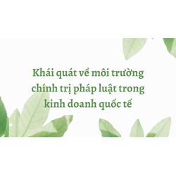 Khái quát về môi trường chính trị pháp luật trong kinh doanh quốc tế