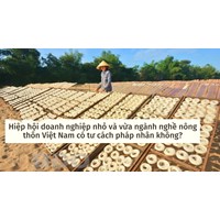 Hiệp hội doanh nghiệp nhỏ và vừa ngành nghề nông thôn Việt Nam có tư cách pháp nhân không?
