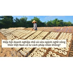Hiệp hội doanh nghiệp nhỏ và vừa ngành nghề nông thôn Việt Nam có tư cách pháp nhân không?