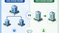 So sánh chia doanh nghiệp và tách doanh nghiệp chi tiết