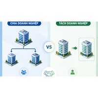 So sánh chia doanh nghiệp và tách doanh nghiệp chi tiết
