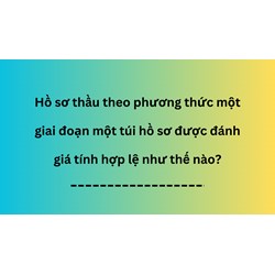 Hồ sơ thầu theo phương thức một giai đoạn một túi hồ sơ được đánh giá tính hợp lệ như thế nào?