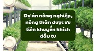Dự án nông nghiệp, nông thôn được ưu tiên khuyến khích đầu tư