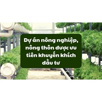 Dự án nông nghiệp, nông thôn được ưu tiên khuyến khích đầu tư