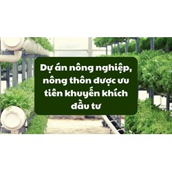 Dự án nông nghiệp, nông thôn được ưu tiên khuyến khích đầu tư