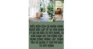 Điều kiện của cá nhân hành nghề độc lập về tư vấn quản lý dự án đầu tư xây dựng, tư vấn giám sát thi công xây dựng công trình, lập, thẩm tra và quản lý chi phí đầu tư xây dựng