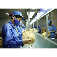 Hoạt động tư vấn hỗ trợ doanh nghiệp nhỏ và vừa ngành Công Thương được thực hiện trong các lĩnh vực nào?