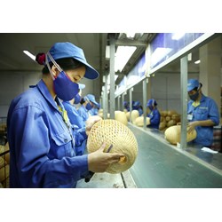 Hoạt động tư vấn hỗ trợ doanh nghiệp nhỏ và vừa ngành Công Thương được thực hiện trong các lĩnh vực nào?