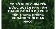 Cơ sở nuôi chim yến được quyền phát âm thanh để dẫn dụ chim yến trong những khoảng thời gian nào?