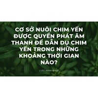 Cơ sở nuôi chim yến được quyền phát âm thanh để dẫn dụ chim yến trong những khoảng thời gian nào?