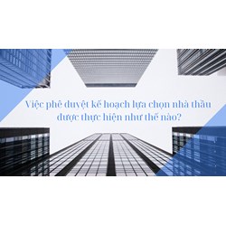 Việc phê duyệt kế hoạch lựa chọn nhà thầu được thực hiện như thế nào?