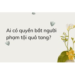 Ai có quyền bắt người phạm tội quả tang?