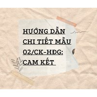 Hướng dẫn chi tiết Mẫu 02/CK-HĐG: Cam kết