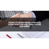 Trong cơ quan hành chính đối tượng nào làm việc theo chế độ hợp đồng