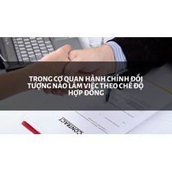 Trong cơ quan hành chính đối tượng nào làm việc theo chế độ hợp đồng