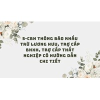 5-CBH Thông báo khấu trừ lương hưu, trợ cấp BHXH, trợ cấp thất nghiệp có hướng dẫn chi tiết