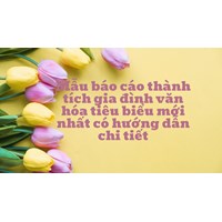 Mẫu báo cáo thành tích gia đình văn hóa tiêu biểu mới nhất có hướng dẫn chi tiết