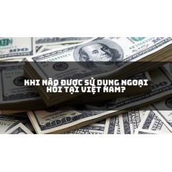 Khi nào được sử dụng ngoại hối tại Việt Nam?