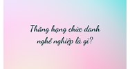 Thăng hạng chức danh nghề nghiệp là gì?