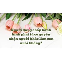 Người đang chấp hành hình phạt tù có quyền nhận người khác làm con nuôi không?