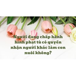 Người đang chấp hành hình phạt tù có quyền nhận người khác làm con nuôi không?