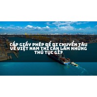 Cấp giấy phép để di chuyển tàu về Việt Nam thì cần làm những thủ tục gì?