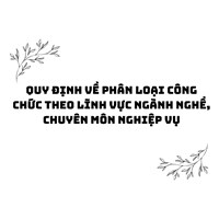Quy định về phân loại công chức theo lĩnh vực ngành nghề, chuyên môn nghiệp vụ