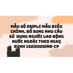 Mẫu số 05/PLI Mẫu điều chỉnh, bổ sung nhu cầu sử  dụng người lao động nước ngoài theo Nghị định 152/2020/NĐ-CP