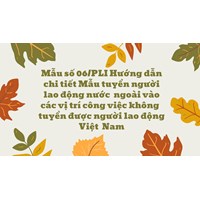 Mẫu số 06/PLI Hướng dẫn chi tiết Mẫu tuyển người lao động nước  ngoài vào các vị trí công việc không  tuyển được người lao động Việt  Nam