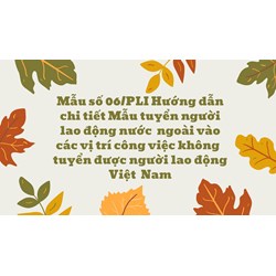 Mẫu số 06/PLI Hướng dẫn chi tiết Mẫu tuyển người lao động nước  ngoài vào các vị trí công việc không  tuyển được người lao động Việt  Nam