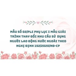 Mẫu số 02/PLI Phụ lục I Mẫu giải trình thay đổi nhu cầu sử  dụng người lao động nước ngoài theo Nghị định 152/2020/NĐ-CP