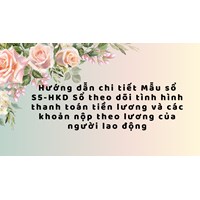 Hướng dẫn chi tiết Mẫu sổ S5-HKD Sổ theo dõi tình hình thanh toán tiền lương và các khoản nộp theo lương của người lao động