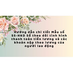 Hướng dẫn chi tiết Mẫu sổ S5-HKD Sổ theo dõi tình hình thanh toán tiền lương và các khoản nộp theo lương của người lao động