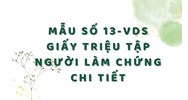 Mẫu số 13-VDS Giấy triệu tập người làm chứng chi tiết