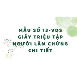 Mẫu số 13-VDS Giấy triệu tập người làm chứng chi tiết