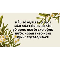 Mẫu số 01/PLI Phụ lục I Mẫu giải trình nhu cầu sử dụng người lao động nước ngoài theo Nghị định 152/2020/NĐ-CP