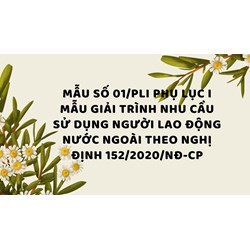 Mẫu số 01/PLI Phụ lục I Mẫu giải trình nhu cầu sử dụng người lao động nước ngoài theo Nghị định 152/2020/NĐ-CP