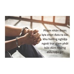 Phạm nhân được lựa chọn đưa ra các khu hướng nghiệp ngoài trại giam phải bảo đảm những điều kiện gì?