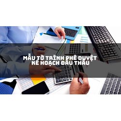 Mẫu tờ trình phê duyệt kế hoạch đấu thầu