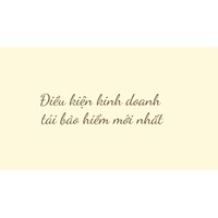 Điều kiện kinh doanh tái bảo hiểm mới nhất
