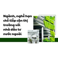 Ngành, nghề hạn chế tiếp cận thị trường với nhà đầu tư nước ngoài